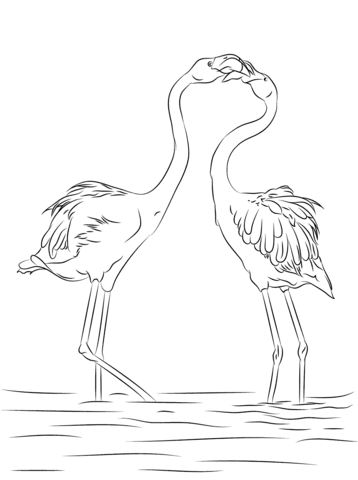 Two Beautiful Flamingo  Coloring Page